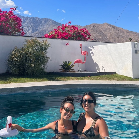 Fendi‎ Cat Eye Sunglasses - Picture 12 of 16